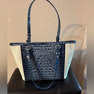 Brahmin Medium Asher